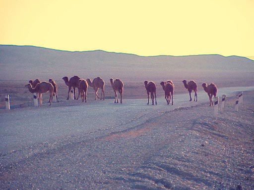 Deserto nel Turkmenistan