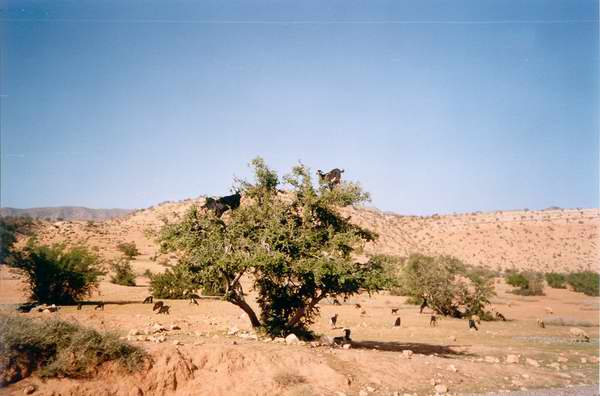 Verso Ouarzazate