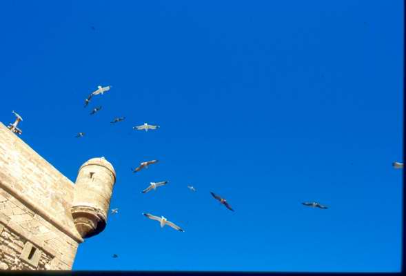 Essaouira