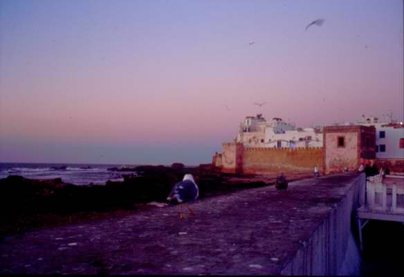 Essaouira