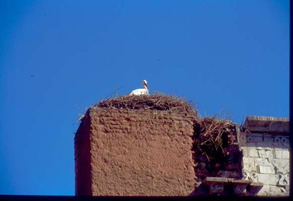 Marrakech