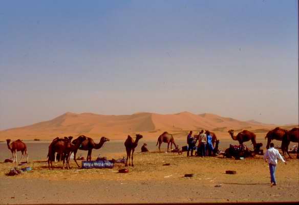 Merzouga