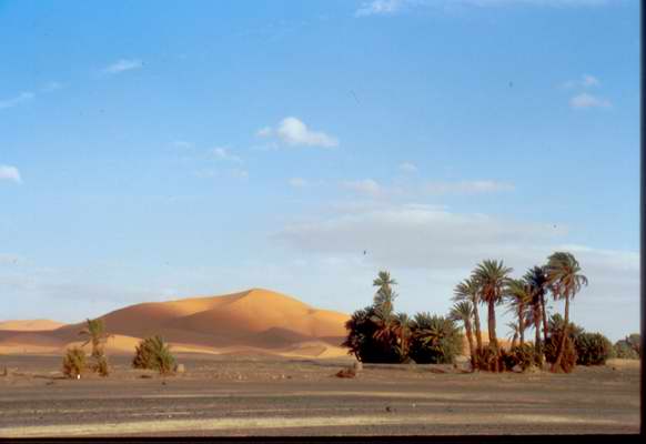 Merzouga