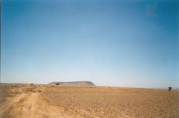 Pista Tagounite - Foum Zguid