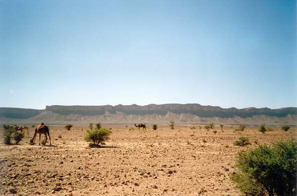 Pista Tagounite - Foum Zguid