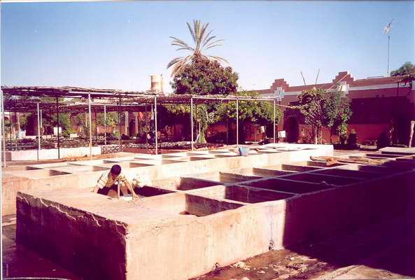 Taroudant