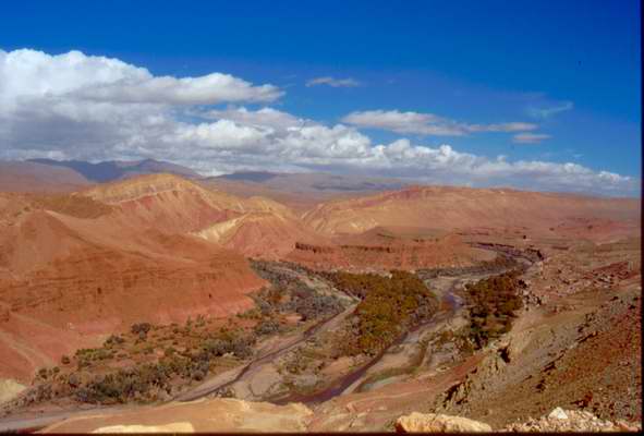 Valle delle Rose