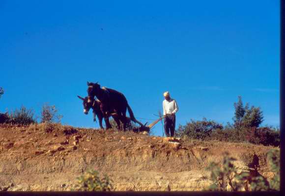 Verso Bin El Ouidane