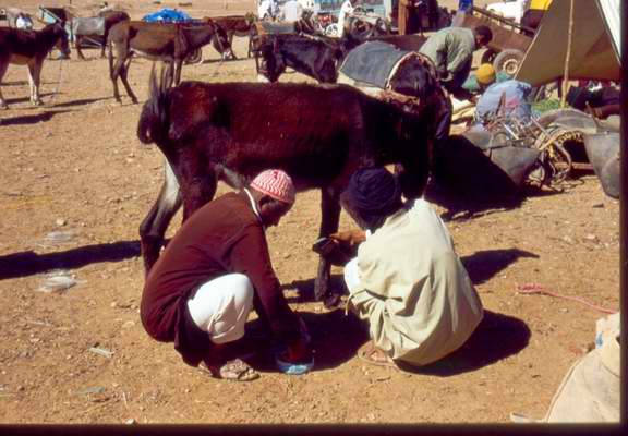 Souk di Zagora