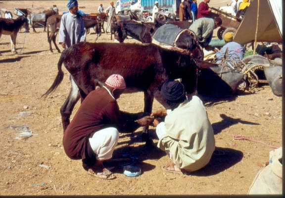 Souk di Zagora