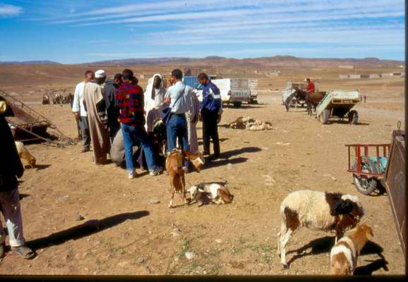 Souk di Zagora