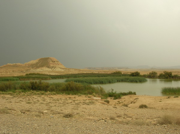 Bardenas Reales