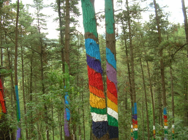 Bosque Pintado de Oma