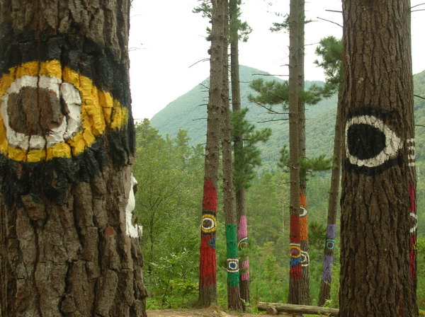 Bosque Pintado de Oma