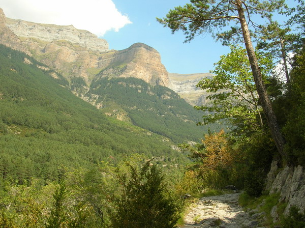 Sentiero vicino Torla