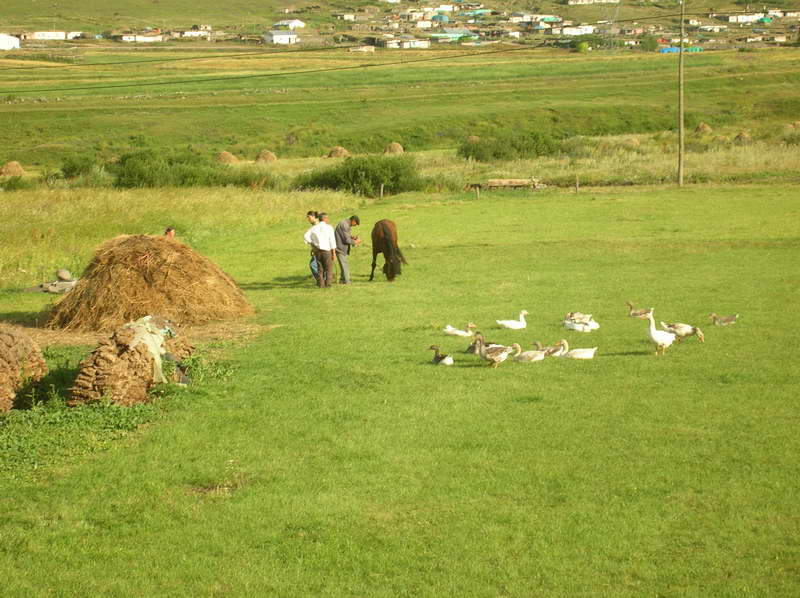 Verso la Georgia