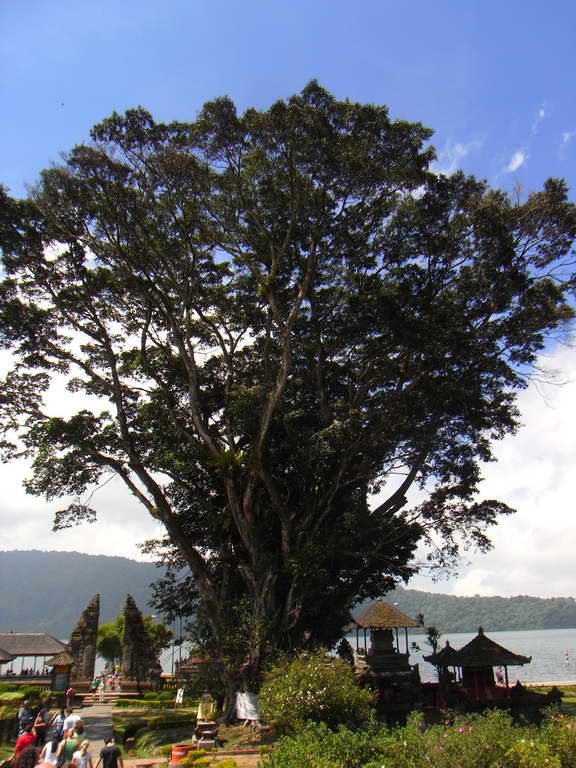 Tempio sul lago Bratan