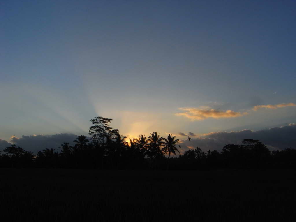 Tramonto vicino Ubud