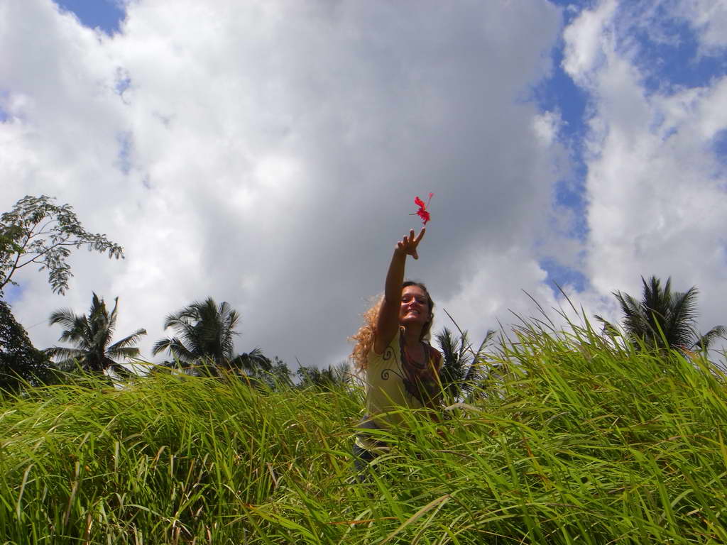 Dintorni di Ubud