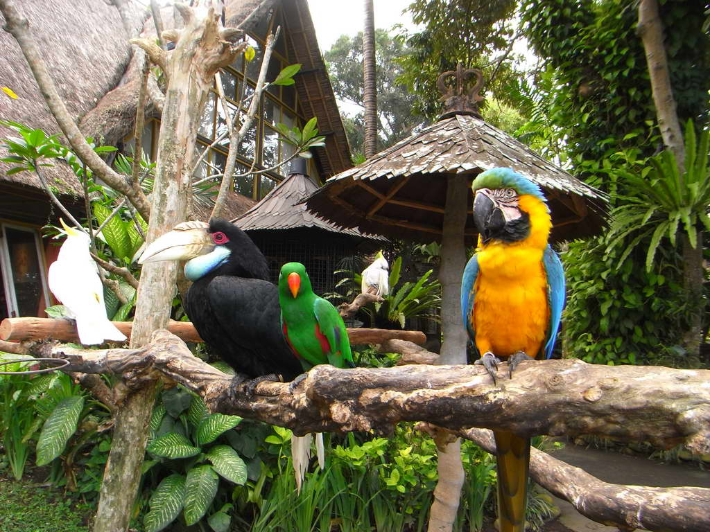 Museo di Antonio Blanco a Ubud