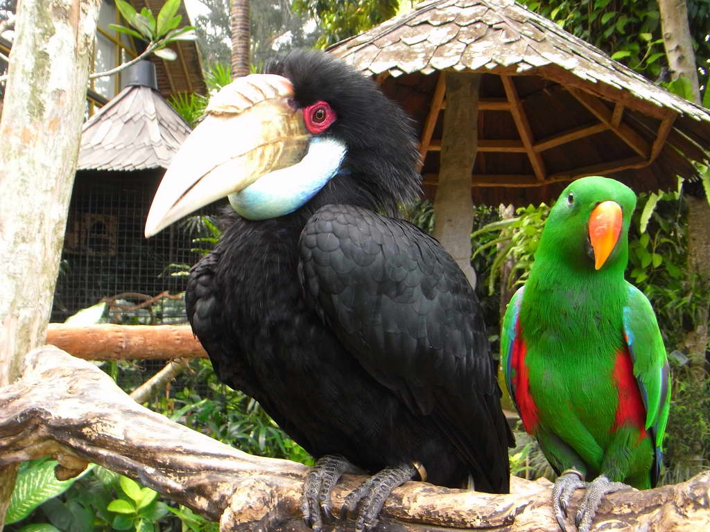 Museo di Antonio Blanco a Ubud