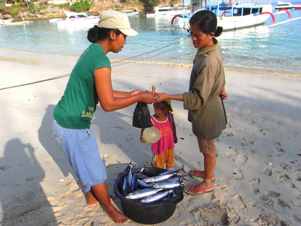 Vendita di pesci a Lembongan