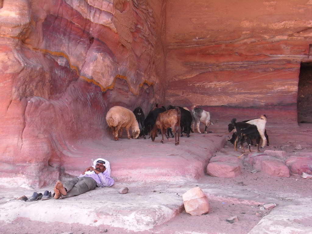 Pastore beduino a Petra