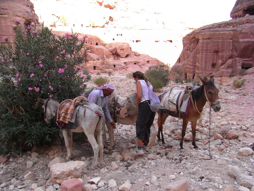 Rovine di Petra