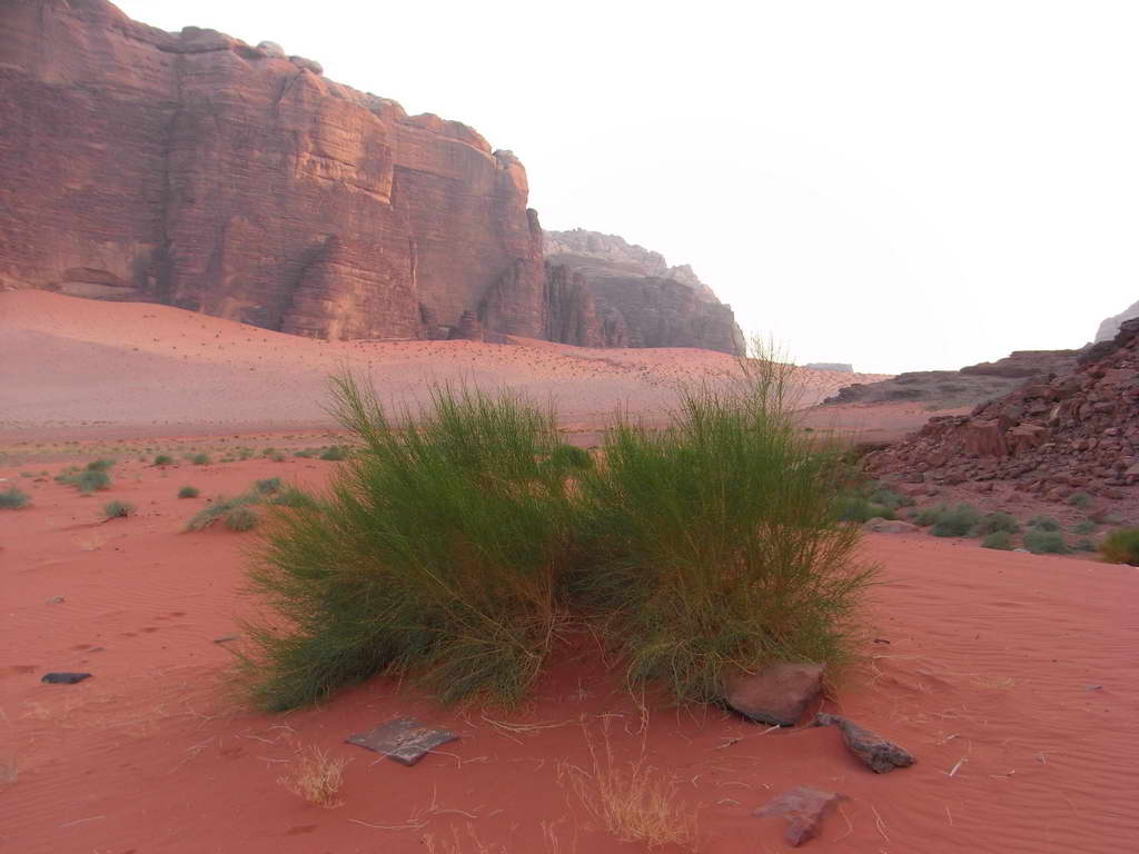 Wadi Rum