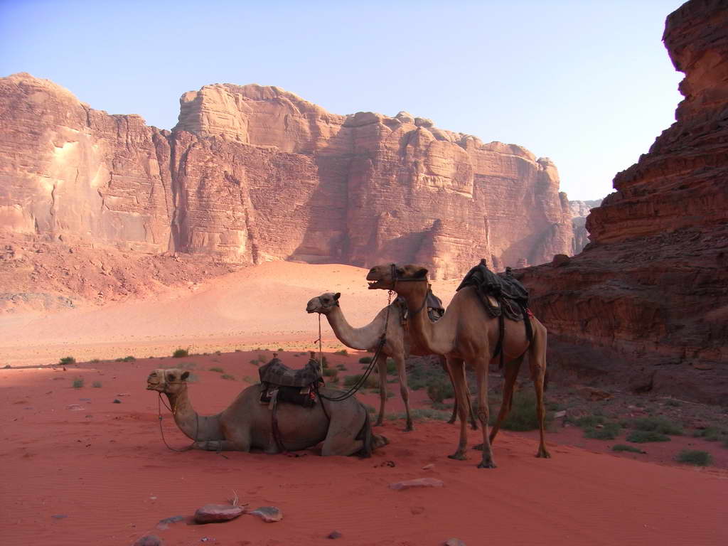 Wadi Rum