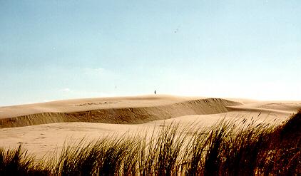 Deserto di Neringa in Lituania