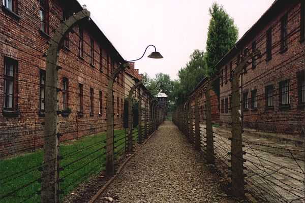 Reticolati di Auschwitz, Oswiecim