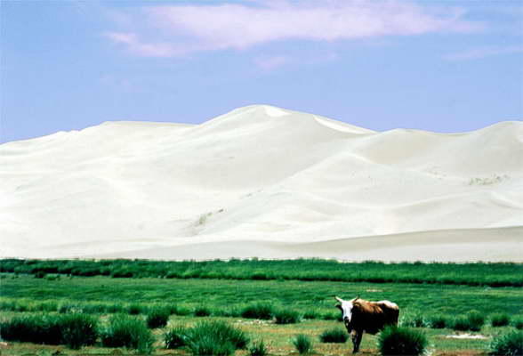 Dune di Khongoryn