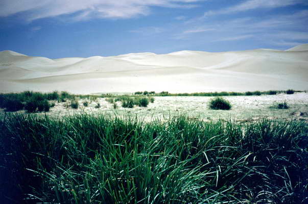 Dune di Khongoryn