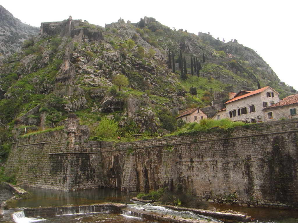 Kotor