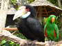 Museo di Antonio Blanco a Ubud