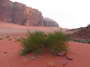 Wadi Rum